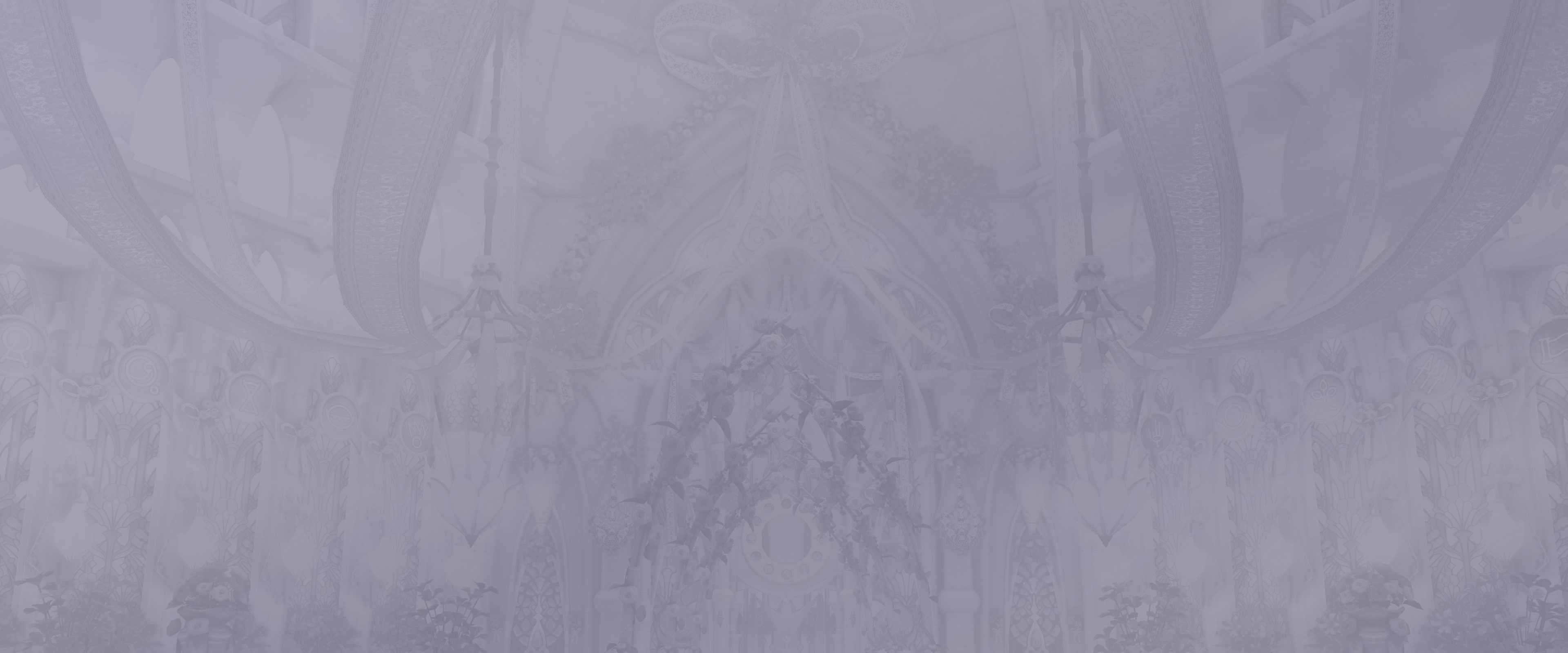 プラチナプラン