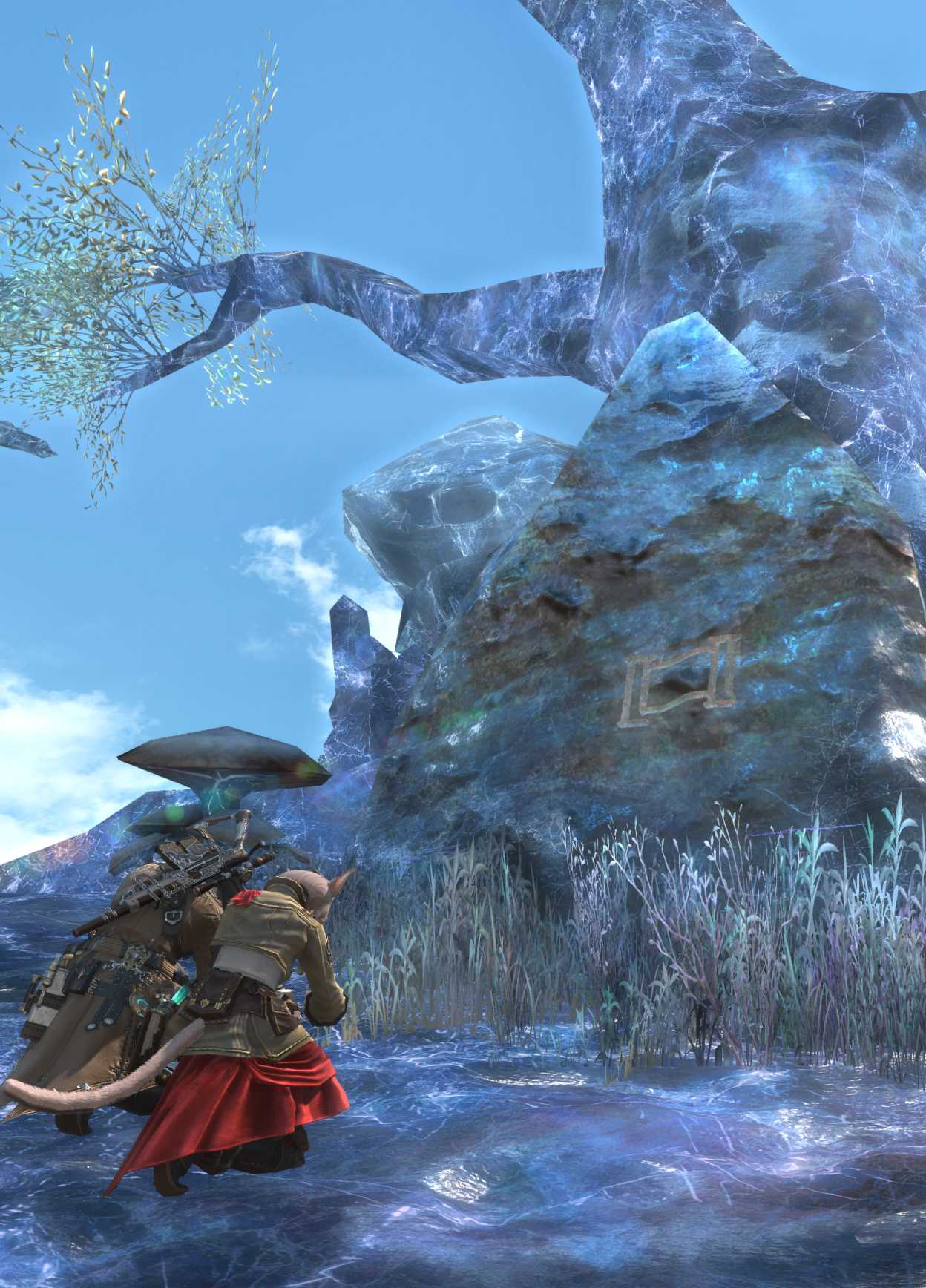 セレモニーの準備